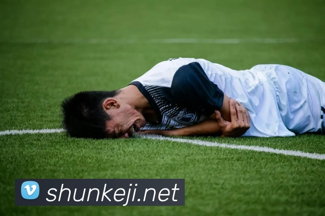 飞博体育全站App